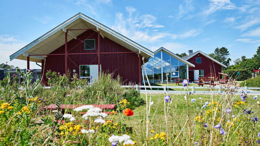DANHOSTEL Ishøj Strand